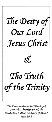 The Deity of Our Lord Jesus Christ: And the Truth of the Trinity by Henry Edward Hayhoe