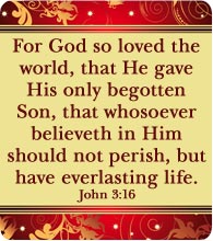 John 3:16 text