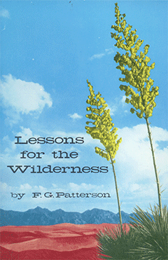 Lessons for the Wilderness: Thoughts on Some Typical Incidents of Israel's Deliverance and Pilgrimage by Frederick George Patterson