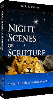 Night Scenes of Scripture by Walter Thomas Prideaux Wolston