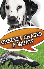 Chelsea Chased a What?