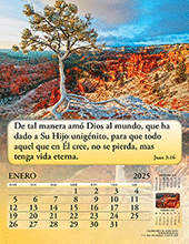 2025 Spanish Calendario de Gran Gozo