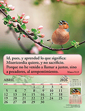 Image slide carousel