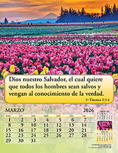 Image slide carousel