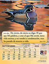 Image slide carousel