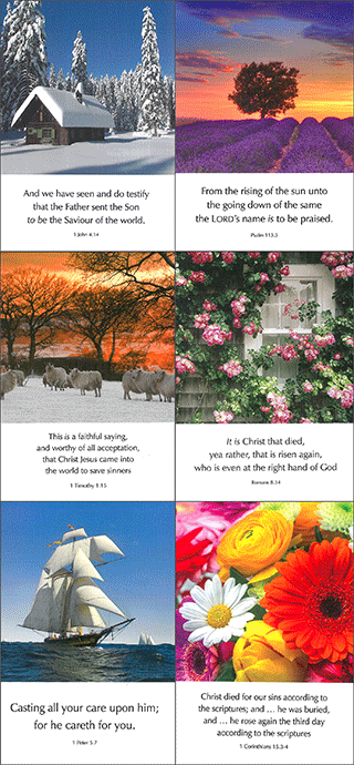 Scenic and Floral Scripture Greetings Correspondence Pack: 4x6 CFN Set, Assorted Verses, Blank Inside by TBS, King James Version