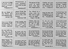 Bible Text Self-Adhesive Verse Sticker Pack: 100 Assorted Verses