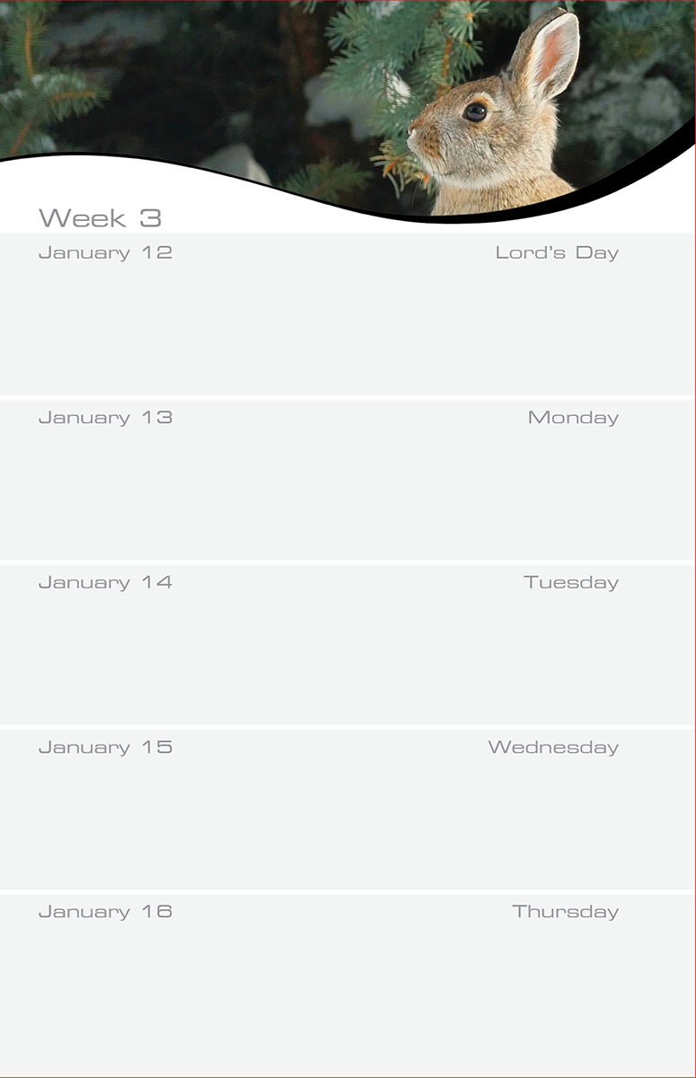 Page preview