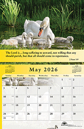 2026 The Gospel of Peace Scenic Appointment Calendar: With Monthly Gospel Verses