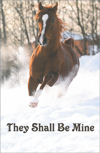 They Shall Be Mine by Gladys Klassen