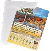 2025 English Standard Calendar Mailing Envelope: For Gospel of Peace and Joyful News Calendars
