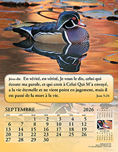 Image slide carousel