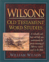 Wilson's Old Testament Word Studies by William Wilson