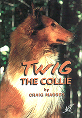 Twig the Collie by Craig Massey