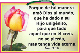 8x5 Texto Bíblico a Color: (Rosa) Porque de tal manera amó Dios . . . vida eterna. Juan 3:16