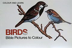 Birds Bible Pictures to Color by Carine Mackenzie