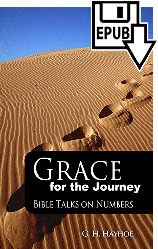 Grace for the Journey: Bible Talks on Numbers by Gordon Henry Hayhoe