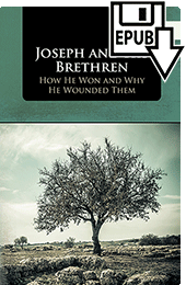 Joseph and His Brethren: How He Won and Why He Wounded Them by F.T. Heath