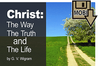 Christ The Way, The Truth, and The Life by George Vicesimus Wigram