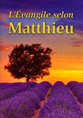 L'Evangile selon Matthieu by Martin 1831/TBS 2013