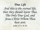 Small Frameable 11" x 8.5" True Life Calligraphy Text: "And this is . . . Thou hast sent. John 17:3 Full Verse by ShareWord Wall Witness, N.Tr.
