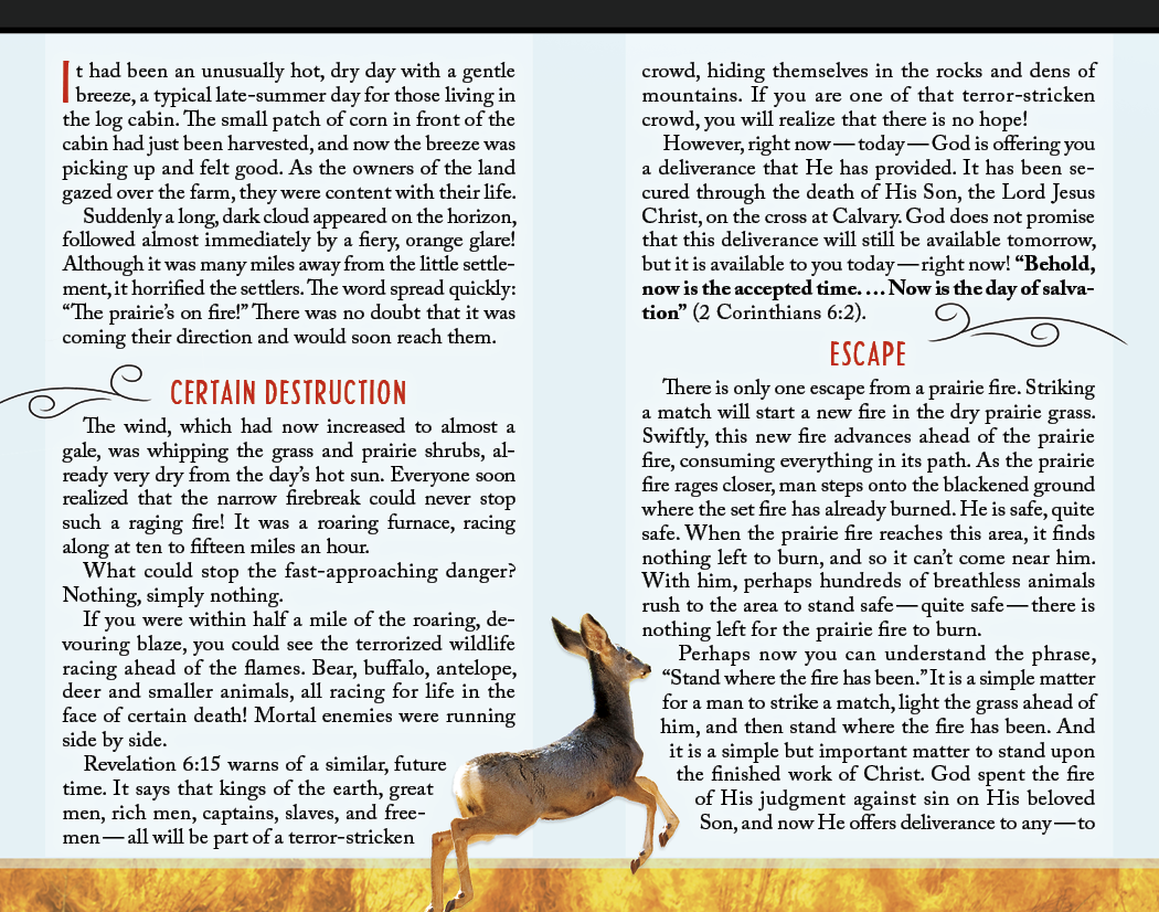 Page preview