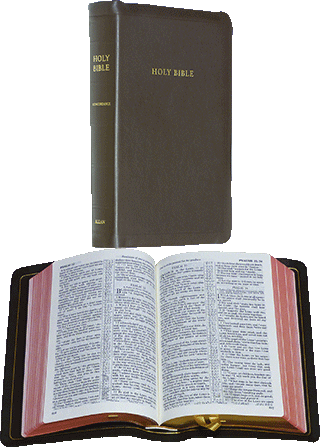 Oxford Long Primer Reference Bible: Allan 52 BR by King James Version