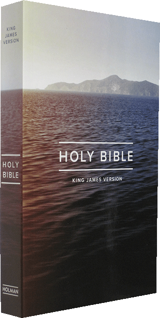 Holman Economy Outreach Text Bible: 159-81X by King James Version