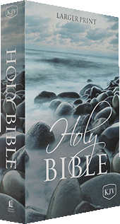 Nelson Larger Comfort Print Text Bible: 3820 by King James Version