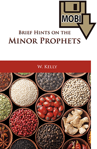 Brief Hints on the Minor Prophets by William Kelly
