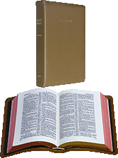 Oxford Long Primer Reference Bible: Allan 62 T Sovereign by King James Version