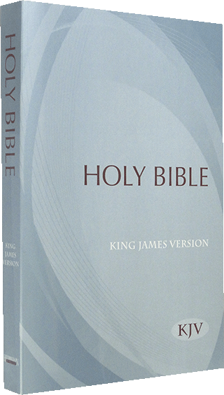 Hendrickson Outreach Text Bible: WW565478 by King James Version