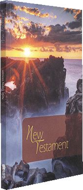 NDV Paragraphed Text New Testament: Ashriel GBV 1032001 by New Darby Version