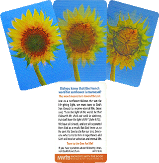 Deluxe Motion Tract: (Blooming Sunflower) Follow the Son John 8:12
