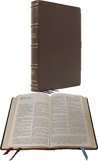 Nelson Maclaren Larger Comfort Print Page-Base Reference Bible: GLBR