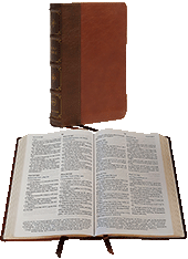 Nelson Maclaren Larger Comfort Print Page-Base Reference Bible: VBR