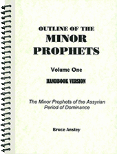 Outline of the Minor Prophets: Volume 1, Hosea - Nahum by Stanley Bruce Anstey