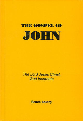 The Gospel of John by Stanley Bruce Anstey