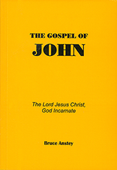 The Gospel of John by Stanley Bruce Anstey