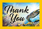 Thank You Tip Card: Turtle