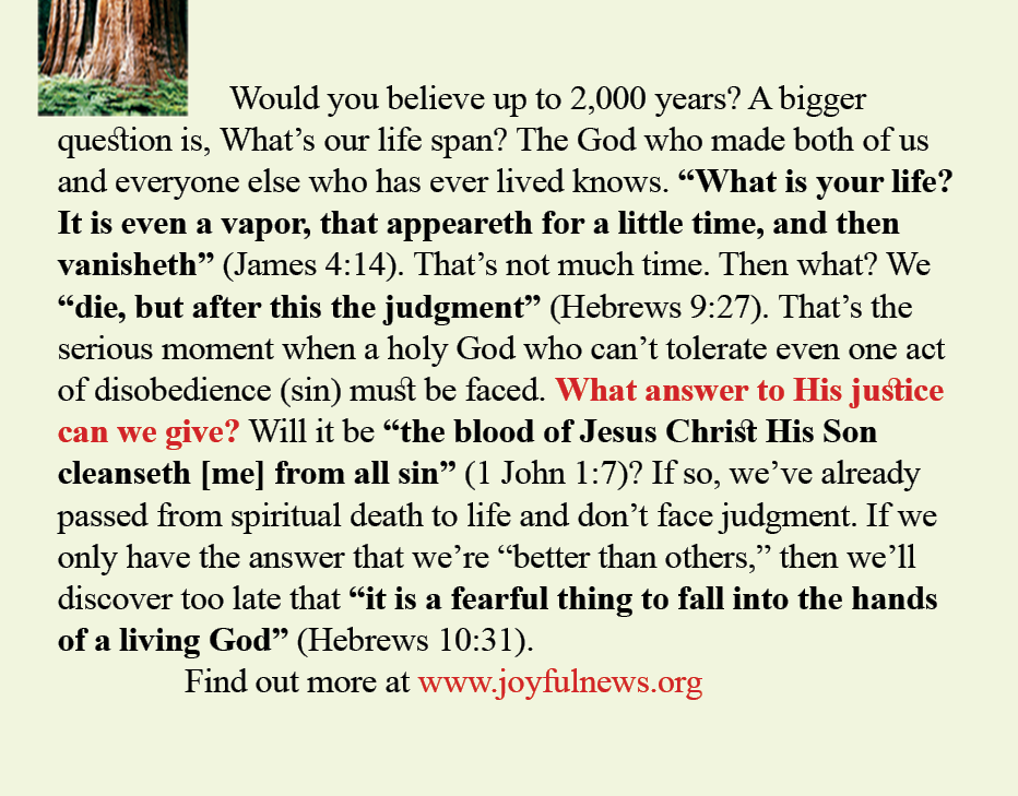 Do You Know: The Estimated Age of a Redwood?