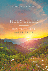 Nelson Large Print Outreach New Testament: Scenic Cover Edition by King James Version
