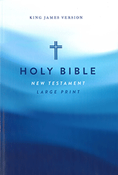 Nelson Large Print Outreach New Testament: Blue Waves Cover Edition by King James Version
