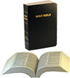 JND Bible: Modified-Notes Edition, Minion Type (Medium) by Darby Translation