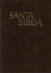 Santa Biblia Mediana by Versión Moderna (1929) Pratt y Mora