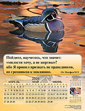 Image slide carousel