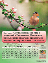 Image slide carousel