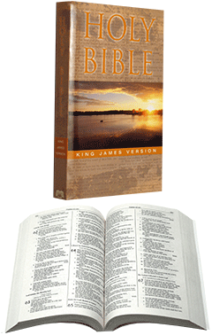 ABS Outreach Edition Text Bible: 113011 by King James Version
