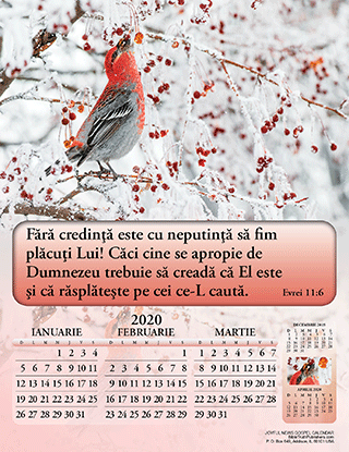 2020 Romanian Joyful News Gospel Calendar
