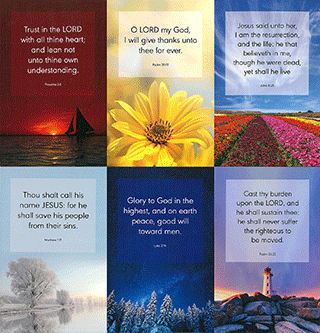 Scenic and Floral Scripture Correspondence Pack: 3x5 CFQ Set, Assorted Verses, Blank Inside by TBS